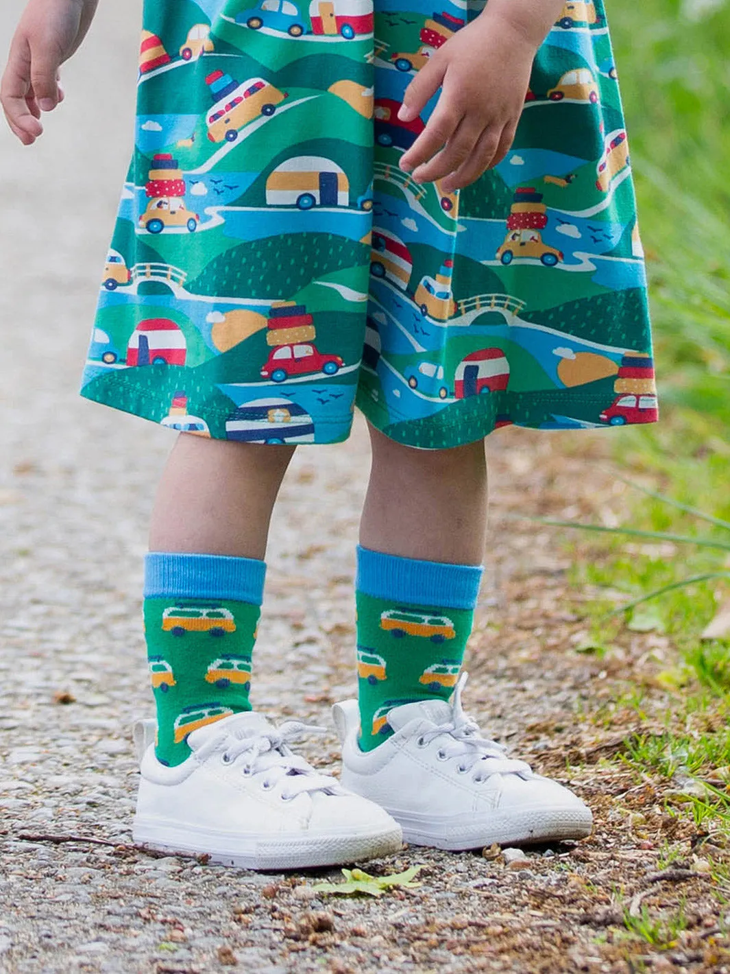 Dino socks