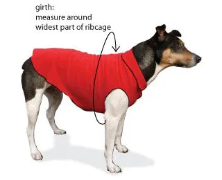 Fleece Lightweight Stretchy Jacket - Robin Egg Blue