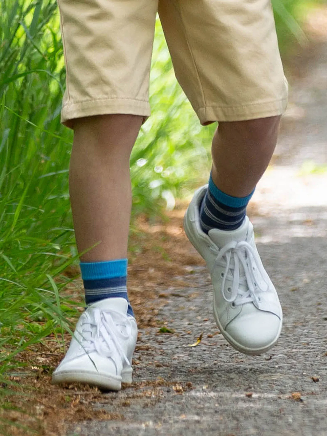 Shark socks