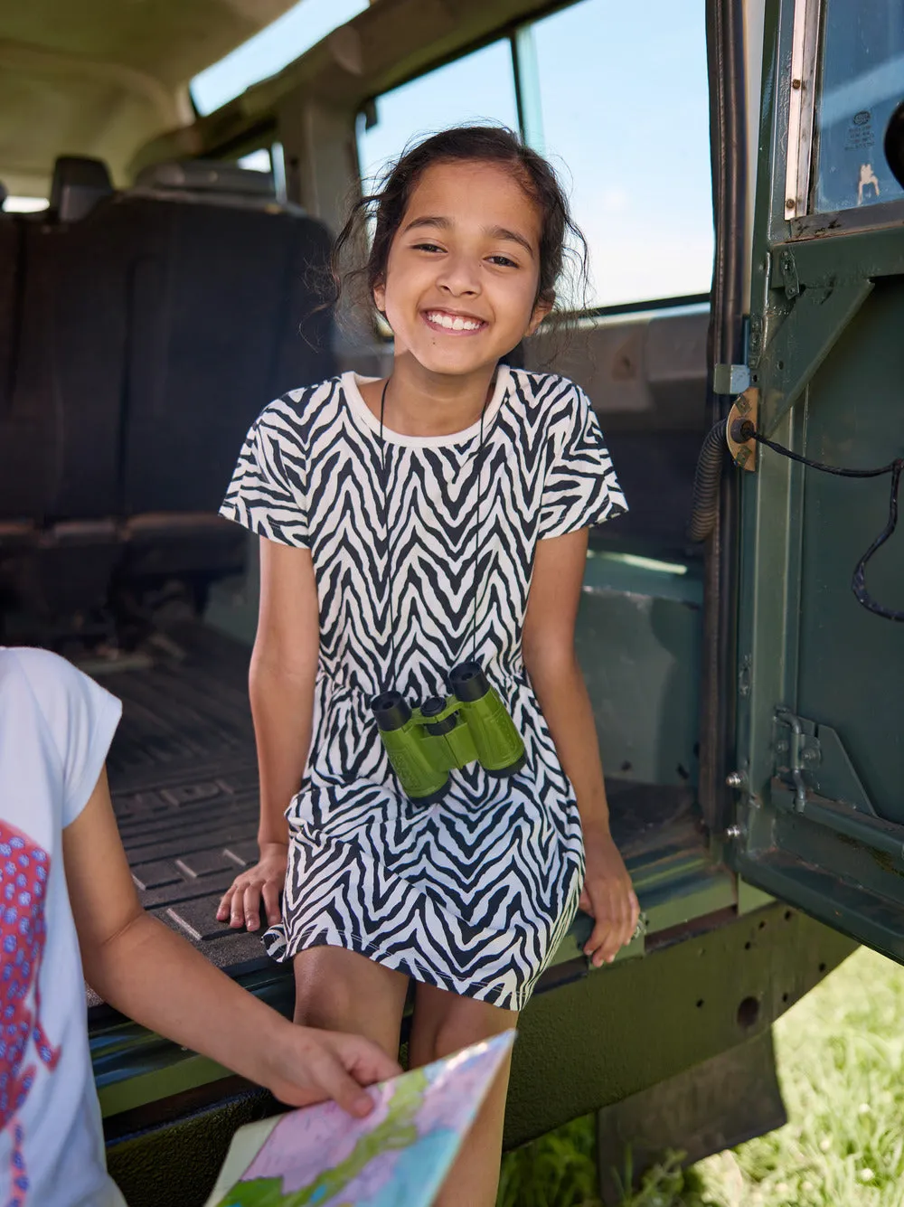 Short Sleeve Twirl Dress - Zebra Stripes